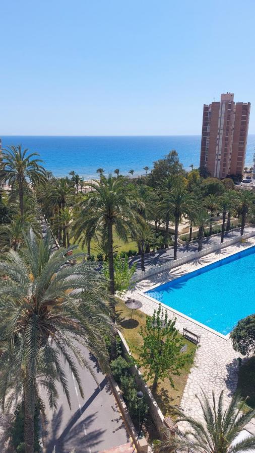 Barbara 20 Playa Muchavista Alicante إل كامبيلو المظهر الخارجي الصورة