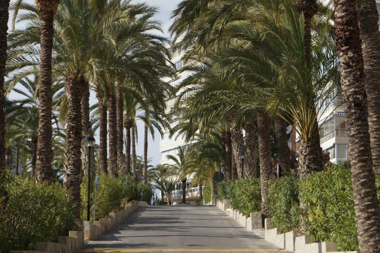 Barbara 20 Playa Muchavista Alicante إل كامبيلو المظهر الخارجي الصورة